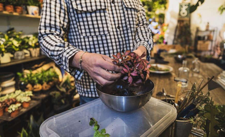 The Art of DIY Crafting: Unleashing Creativity and Resourcefulness