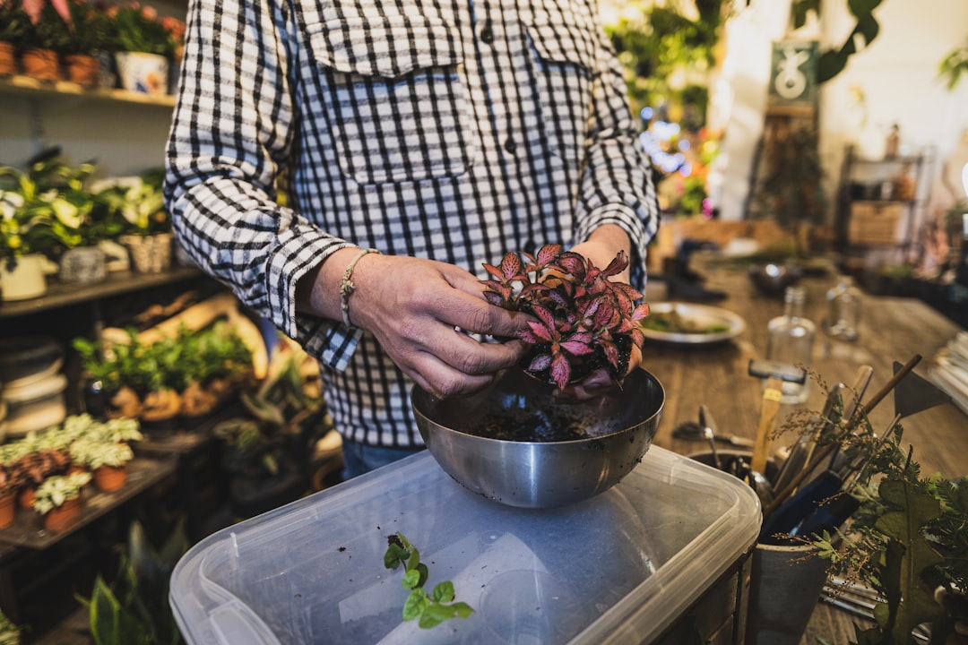 The Art of DIY Crafting: Unleashing Creativity and Resourcefulness